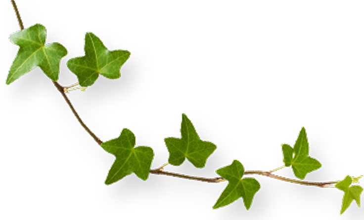 草のオーナメント