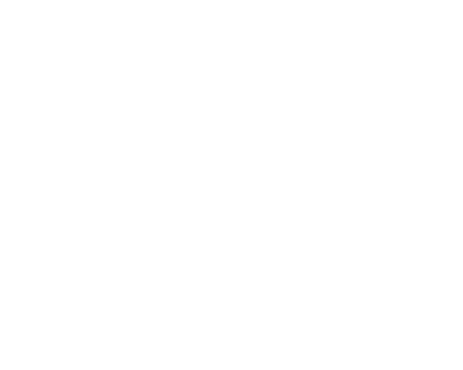 wss_logo